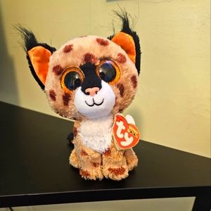 Buckwheat Beanie Boo